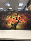 ORANGE TREE ON CANVAS