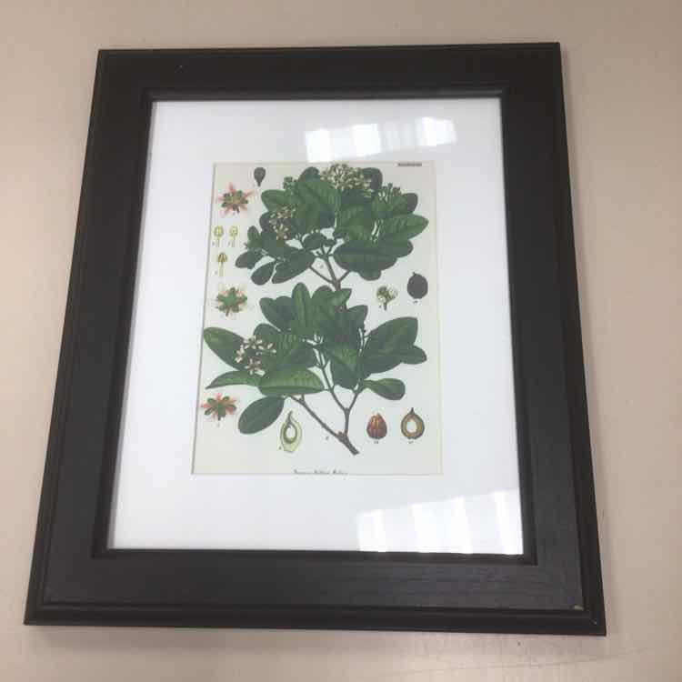 FRAMED HERB DIAGRAM