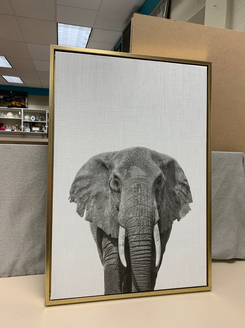 ELEPHANT THEME PIC