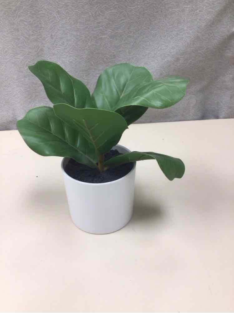 ARTIFICIAL PLANT WHITE POT