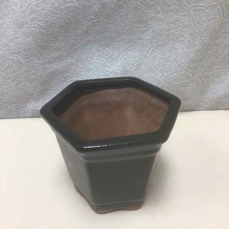 BLACK CERAMIC PLANTER