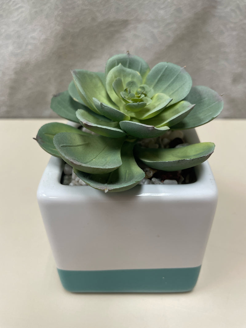 SMALL CERAMIC FLOWER POT