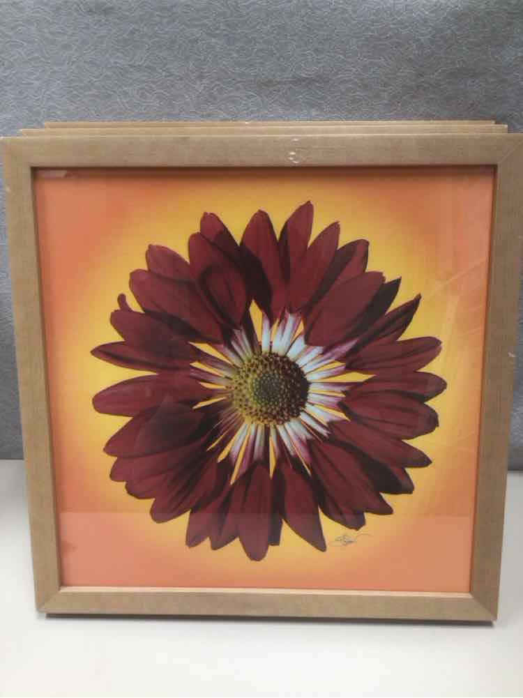 ASSOR BRIGHT FLORAL PIC