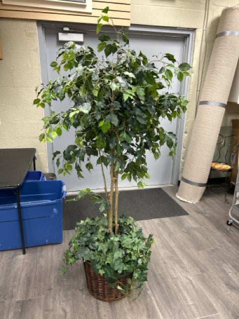 FAUX FICUS TREE IN RATTAN PLANTER