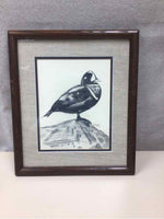 DUCK PENCIL DRAWING