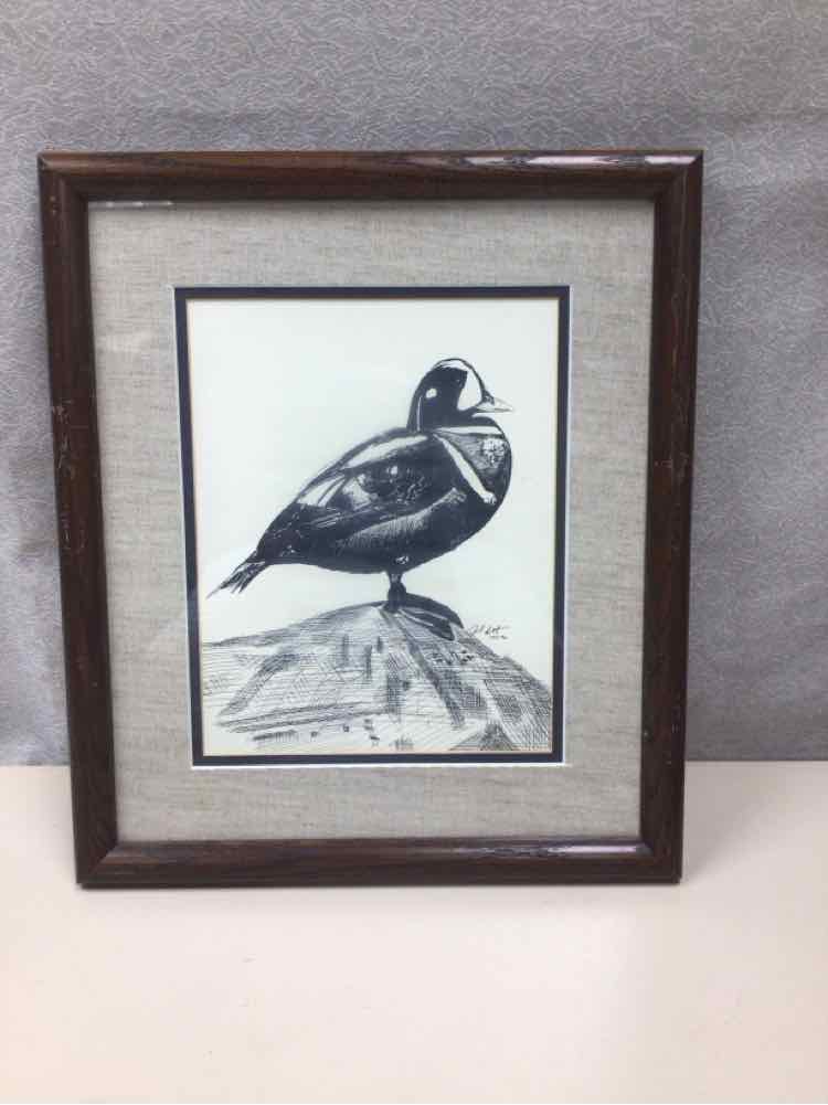 DUCK PENCIL DRAWING