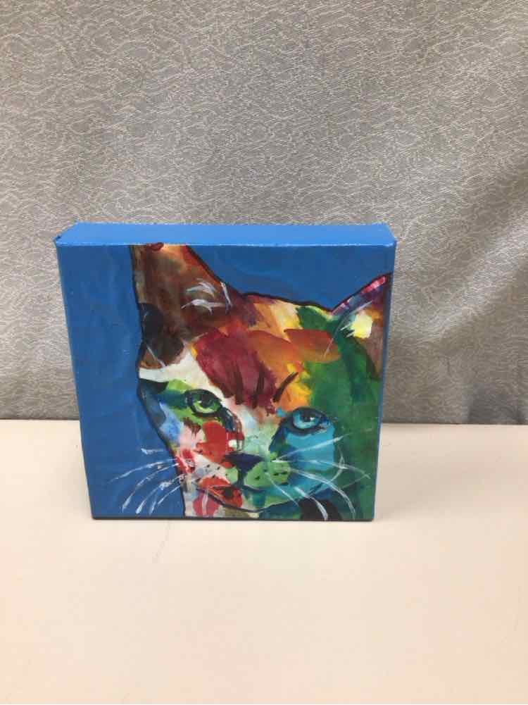 MULTI-COLOR CAT CANVAS PIC