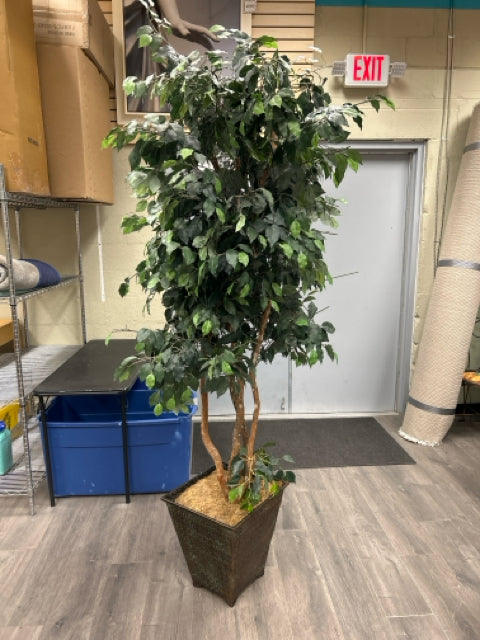 FAUX FICUS IN WEAVE PLANTER