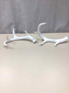 WHITE ANTLERS