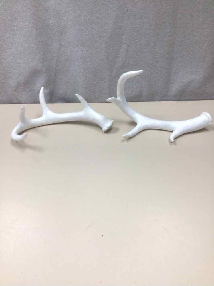 WHITE ANTLERS
