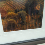 DARK FRAME TUSCAN AUTUMN PIC