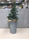 XMAS TREE IN BUCKET W/BURLAP