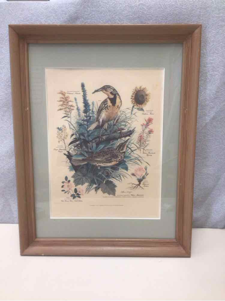 FLORAL BIRDS PIC