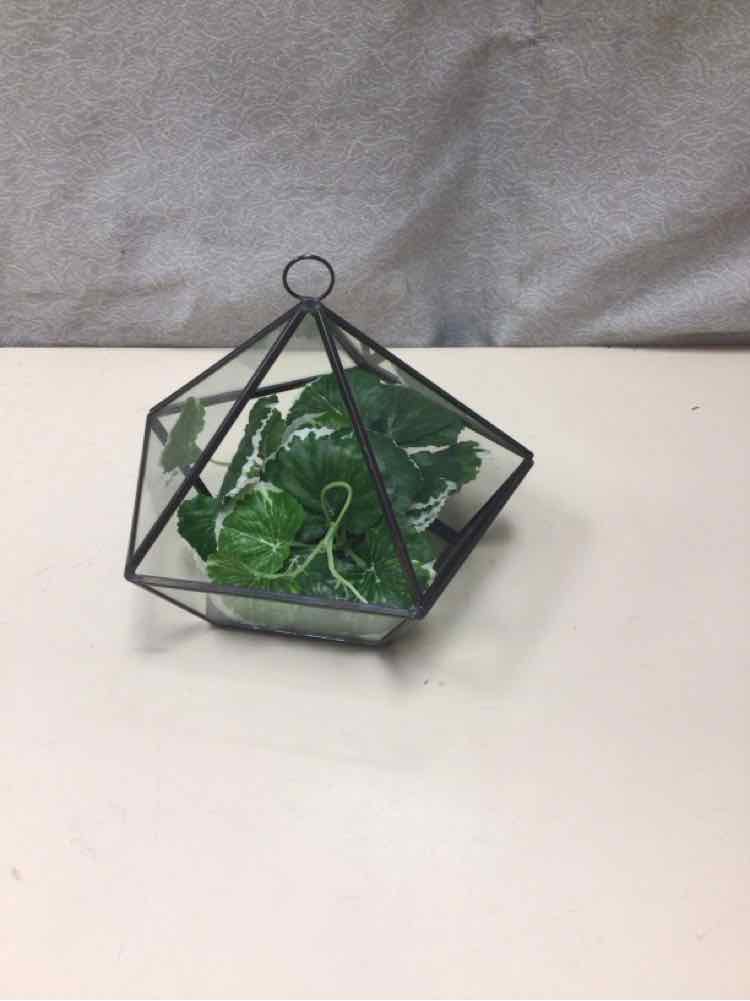 METAL/GLASS TERRARIUM