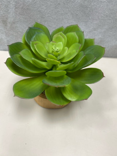 FAUX SUCCULENT IN WOOD STUMP