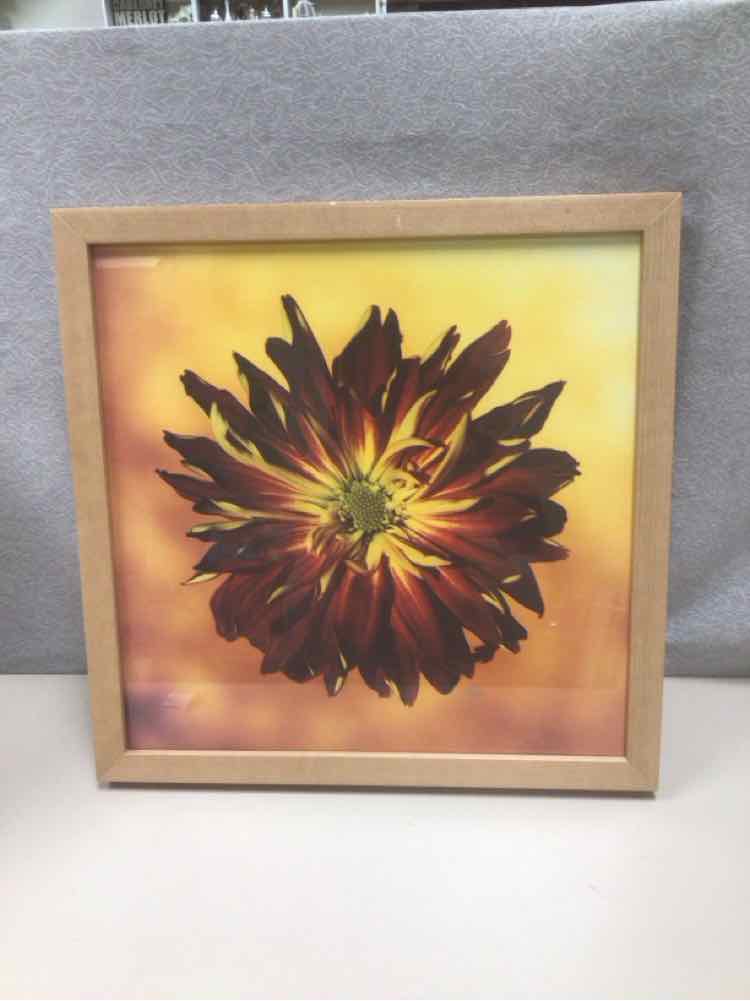 ASSOR BRIGHT FLORAL PIC