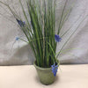 LAVENDER IN TERRACOTTA