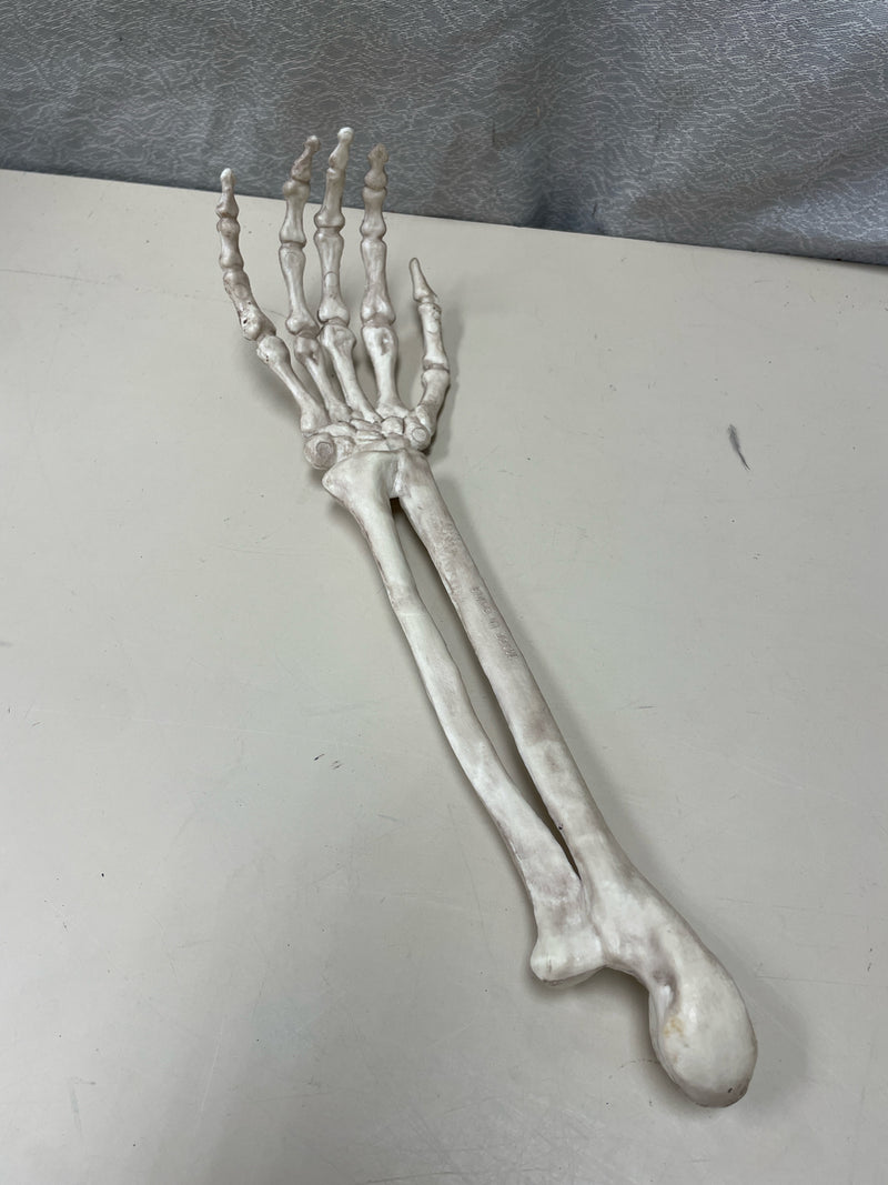 WHITE SKELTON HAND