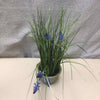LAVENDER IN TERRACOTTA