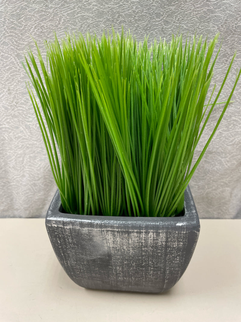 GRASS IN GREY VASE