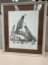QUAIL BIRDS ON BEACH PIC
