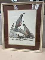 QUAIL BIRDS ON BEACH PIC