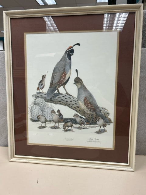 QUAIL BIRDS ON BEACH PIC