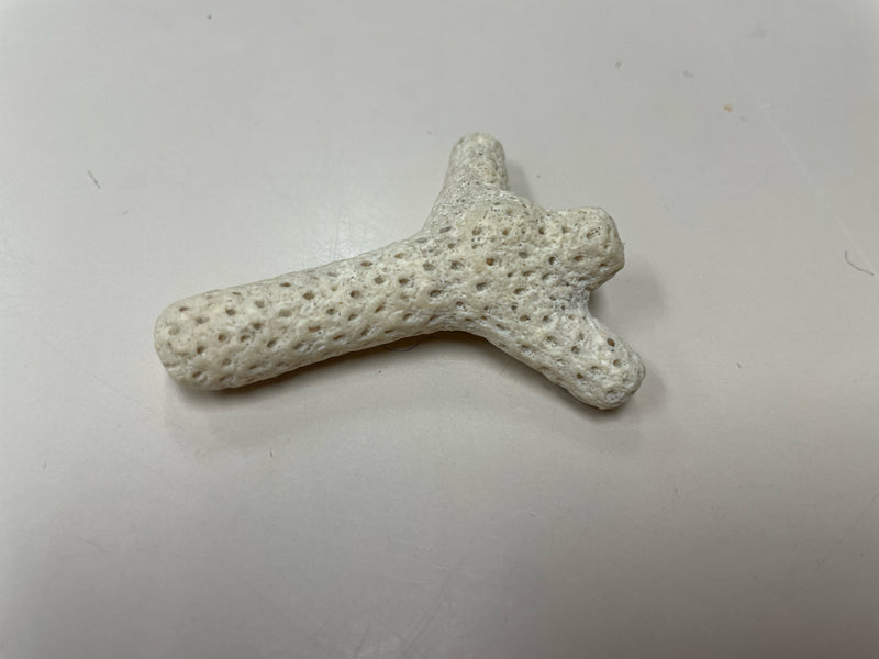 MISC LARGE CORAL