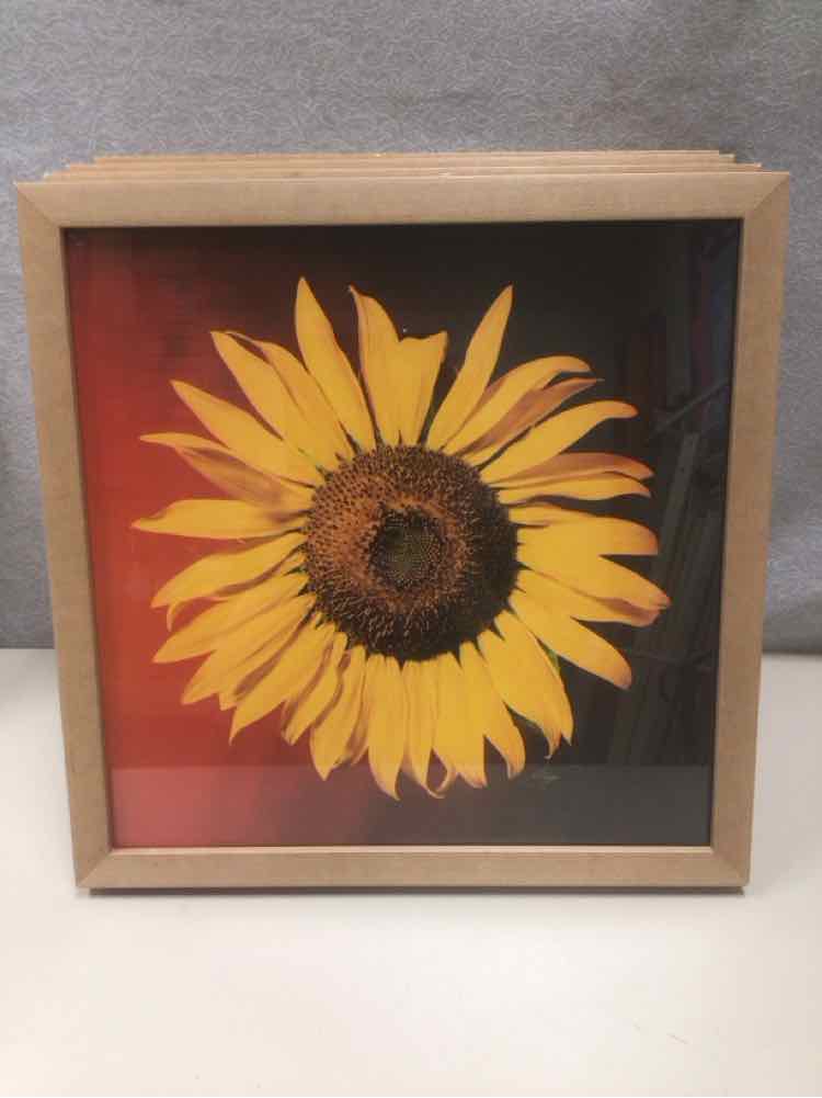 ASSOR BRIGHT FLORAL PIC