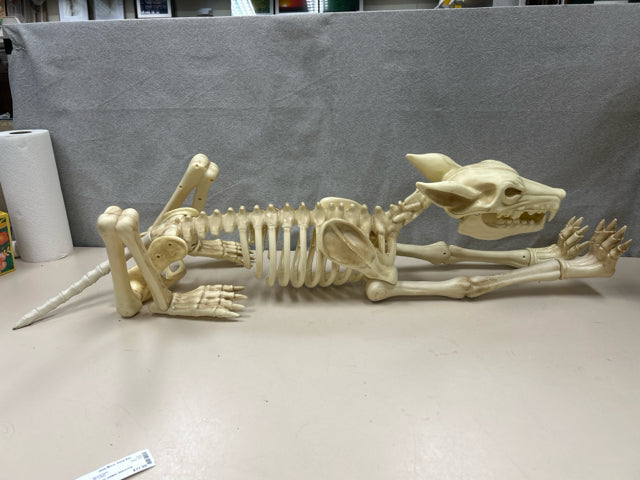 PLASTIC ANIMAL SKELETON