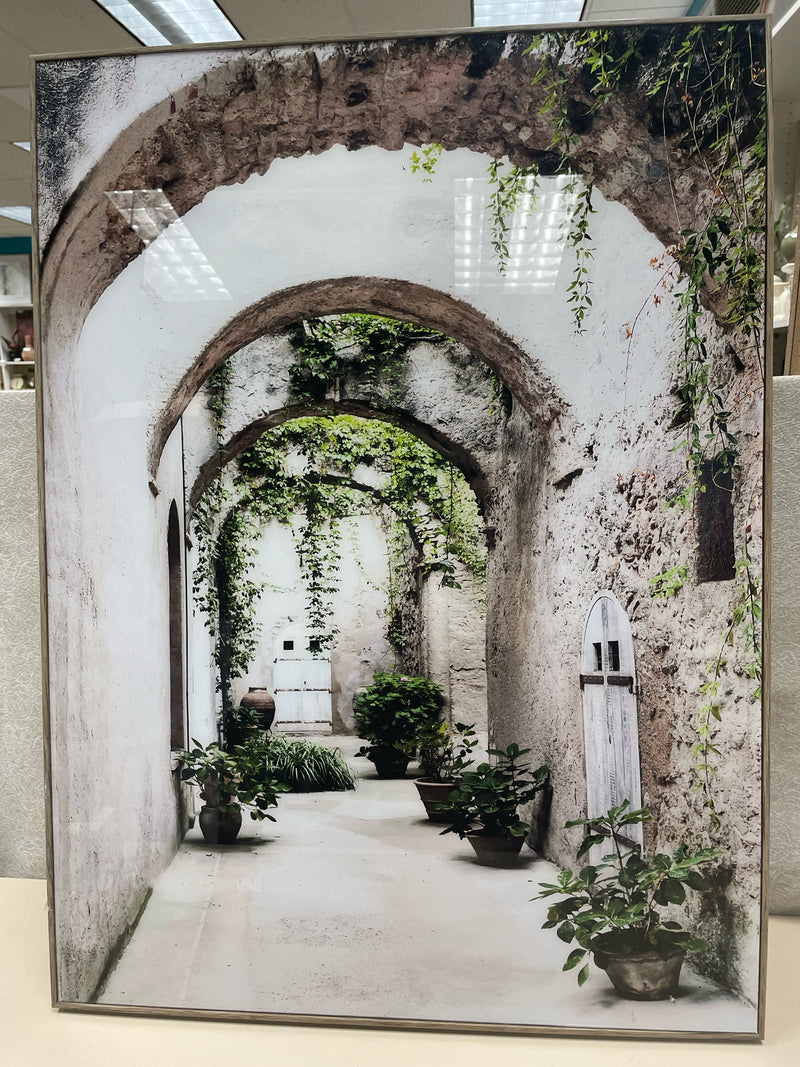 ALLEY W/PLANTS PIC