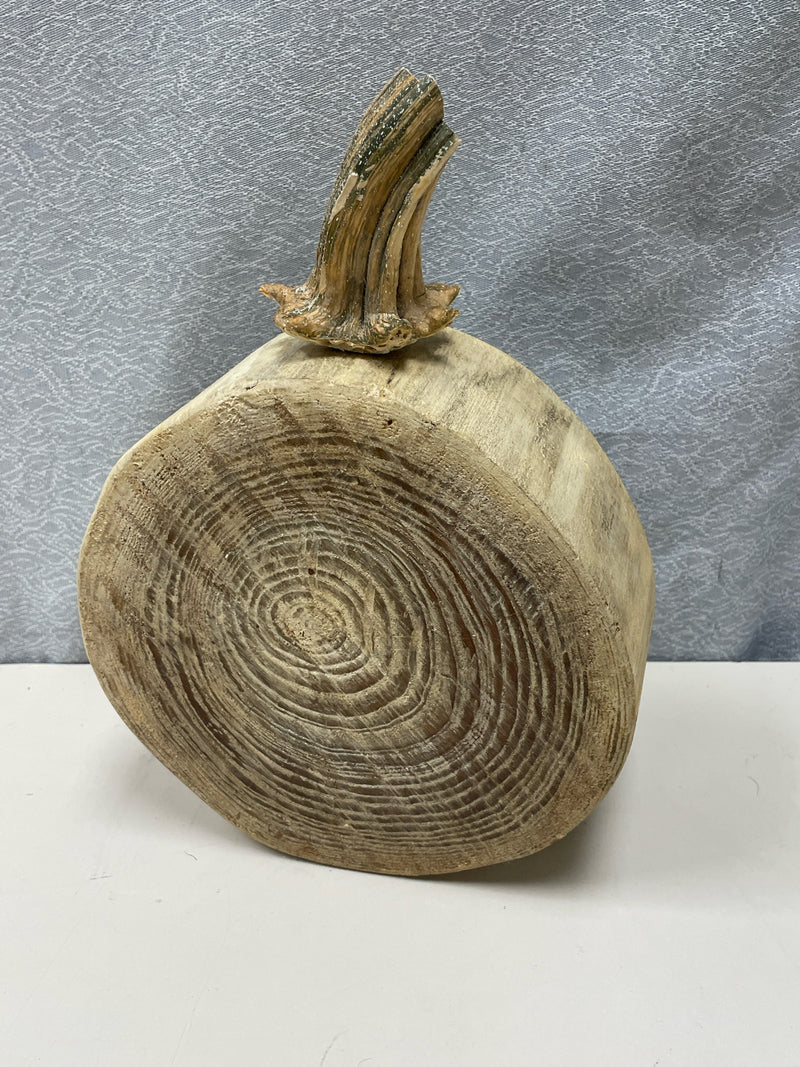ASSOR TAN STUMP PUMPKIN CARVED