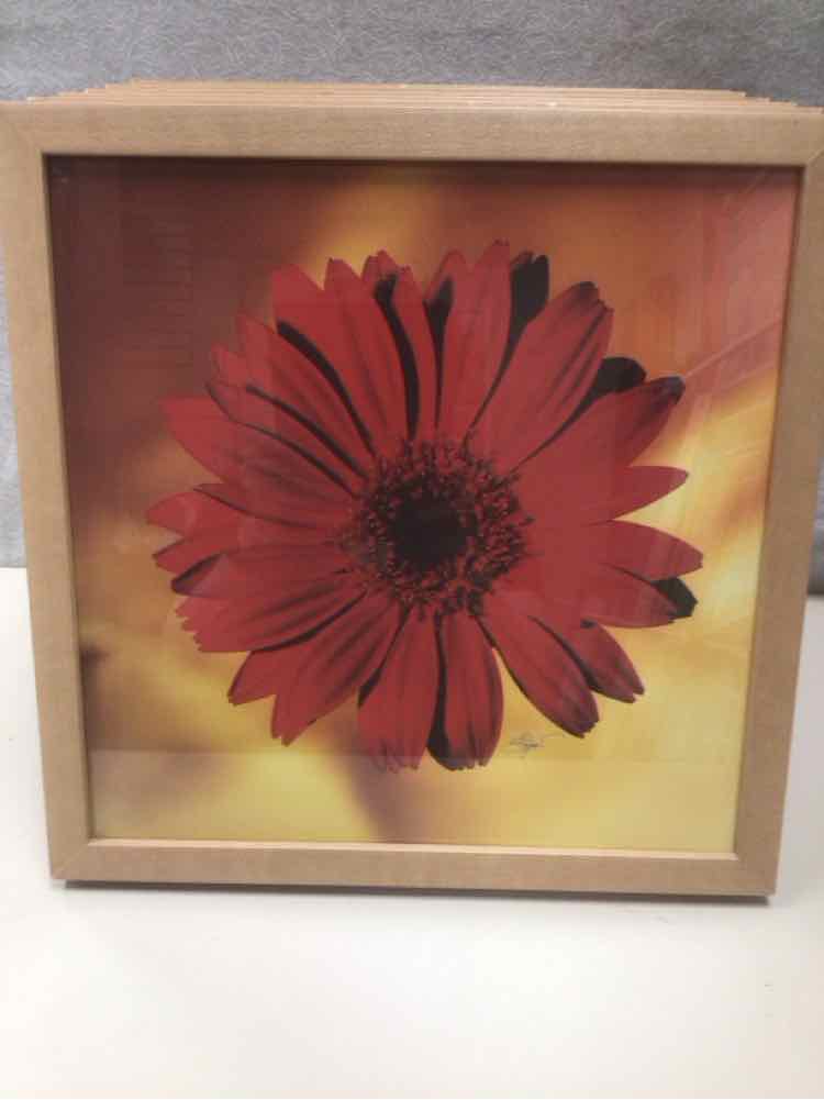 ASSOR BRIGHT FLORAL PIC