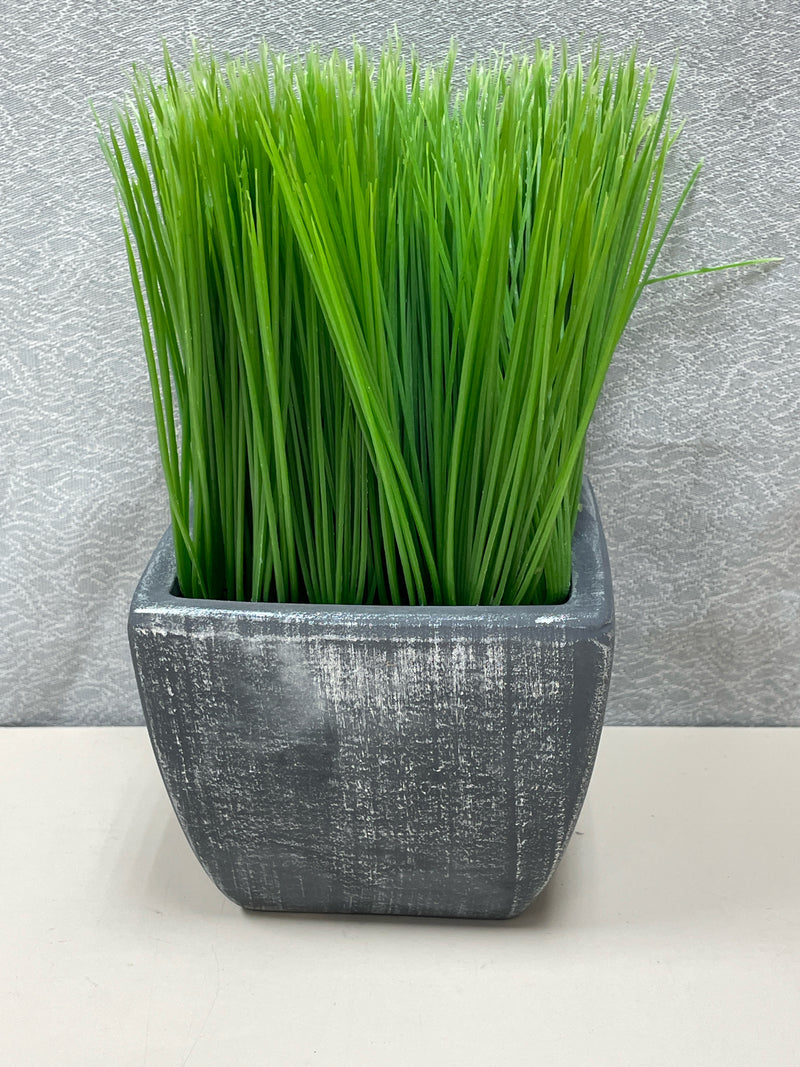 GRASS IN GREY VASE