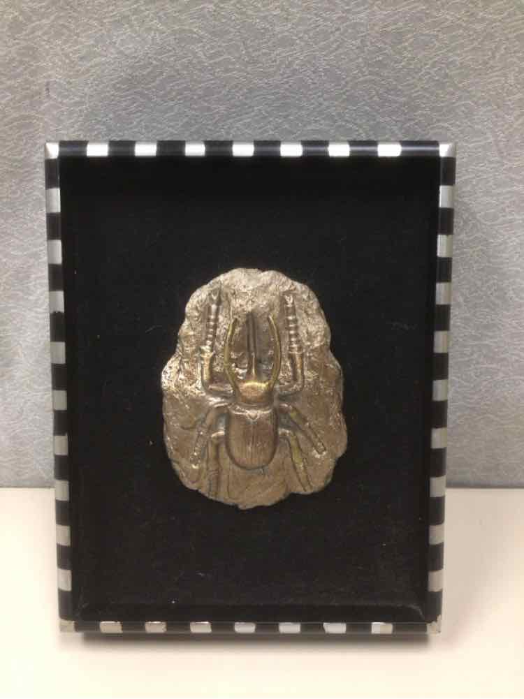 METALLIC BEETLE IN FRAME