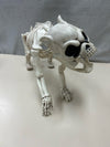 PLASTIC ANIMAL SKELETON