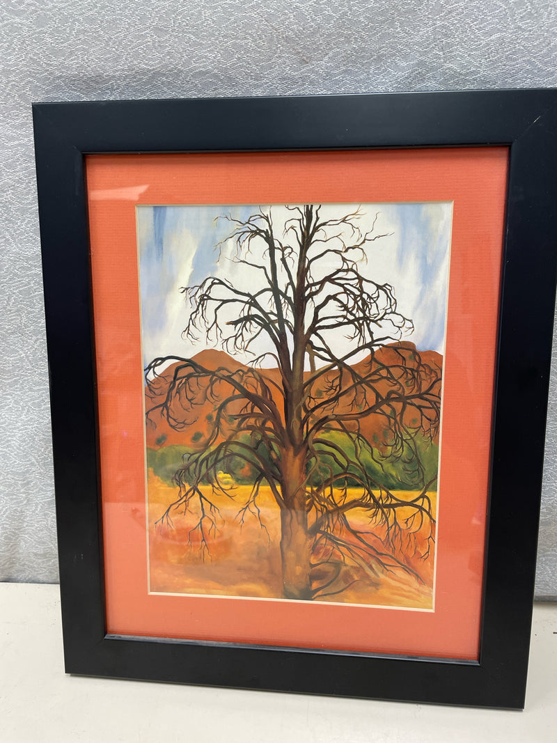 OLD TREE IN FIELD PIC