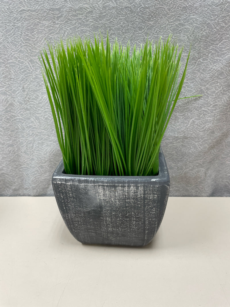 GRASS IN GREY VASE