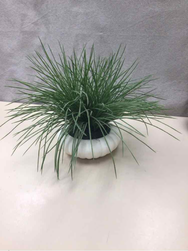 FAUX GRASS IN CIRCULAR PLANTER