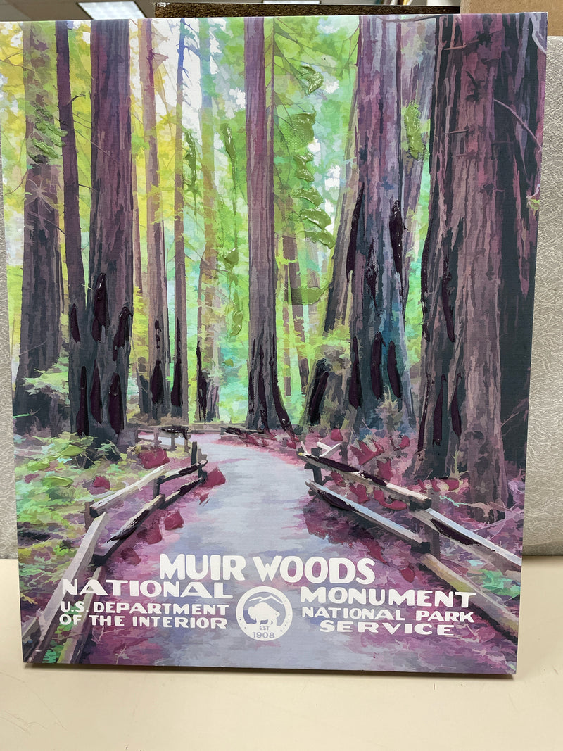 MUIR WOODS CANVAS