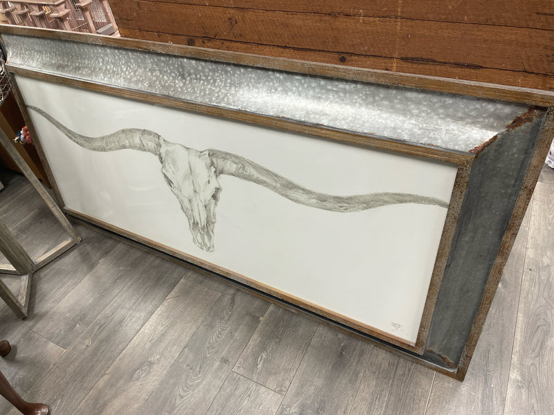 STEER SKULL PICTURE