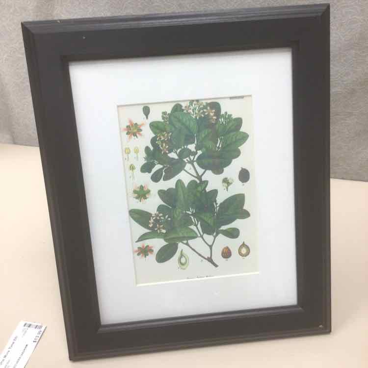 FRAMED HERB DIAGRAM