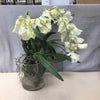 WHITE FLOWERS IN GLASS VASE