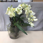 WHITE FLOWERS IN GLASS VASE