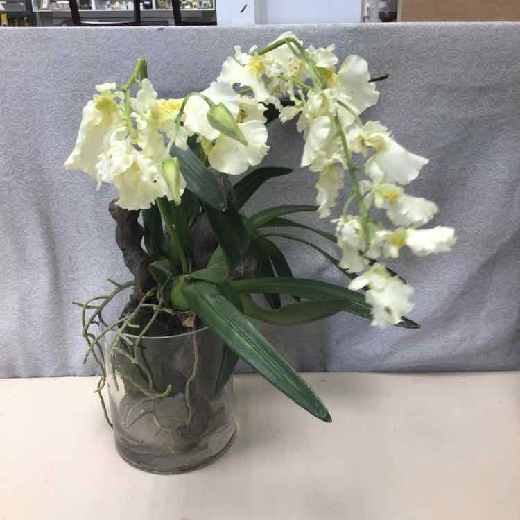 WHITE FLOWERS IN GLASS VASE