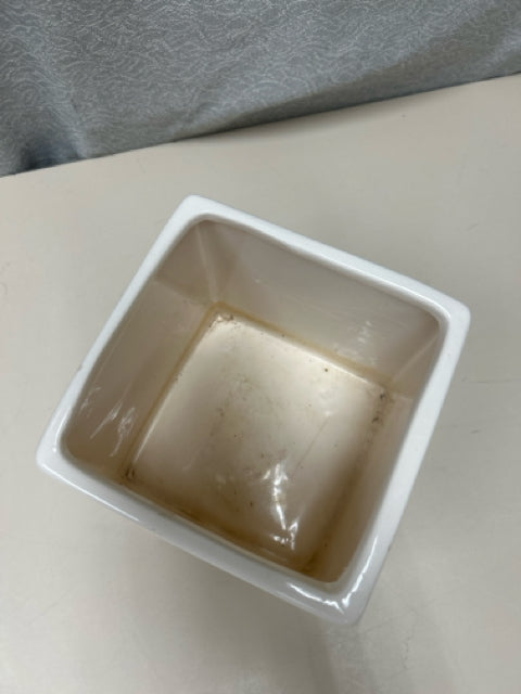 CREAM PLANTER