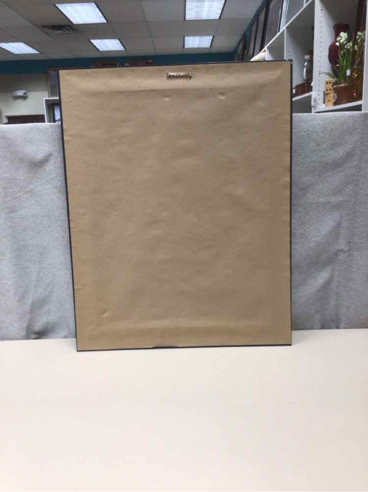 LARGE FRAME TOMATO PRINT