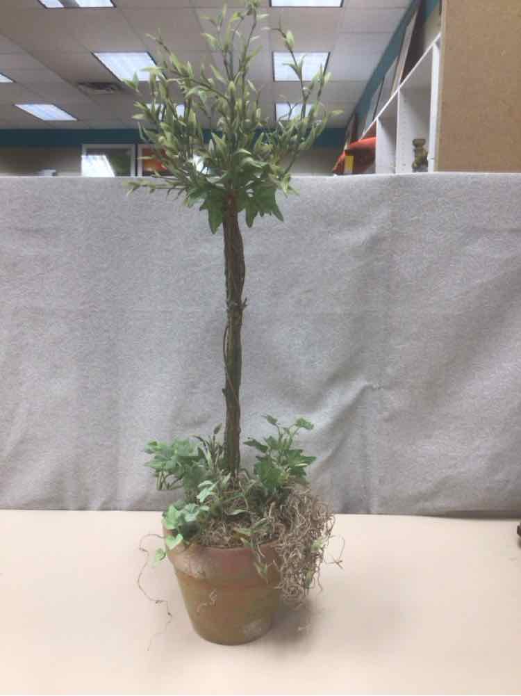 DECORATIVE POTTED GREEN PLANT