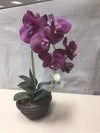 ASSORTED FAUX ORCHID