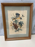 PINE BIRDS PIC